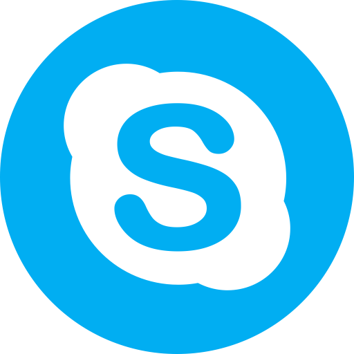 Skype Online Video Phone Conference